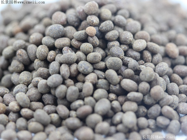 ??¤???è?±?§??????????