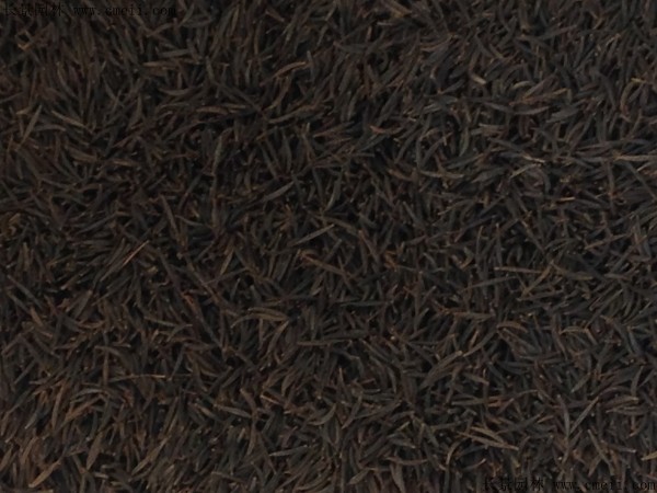 格?；ǚN子圖片