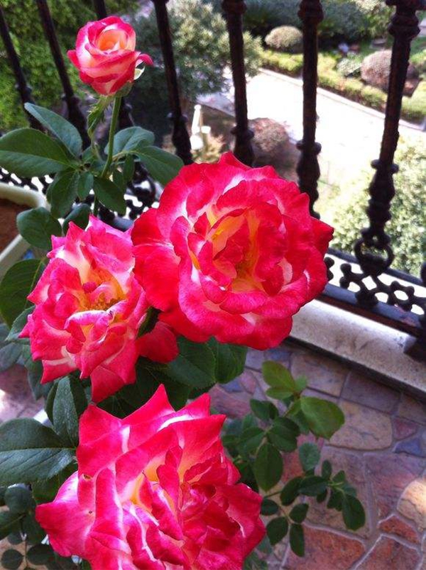 沭陽(yáng)歐月基地