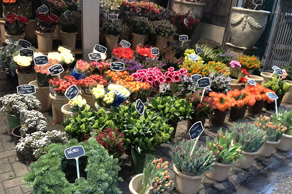 秋季花卉市場2.jpg