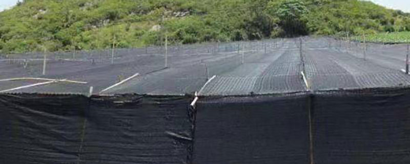 月季要多少針的遮陽網